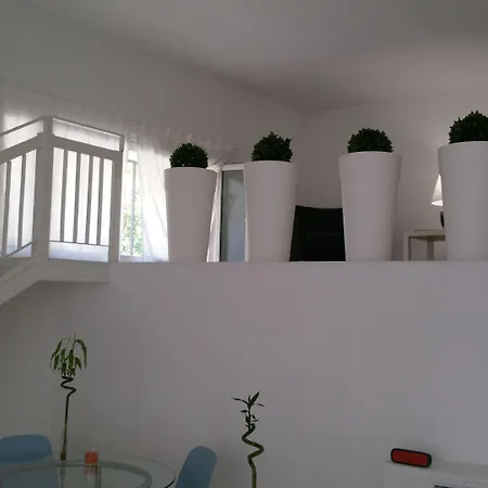 Vittoria - Lucehotels Hotel